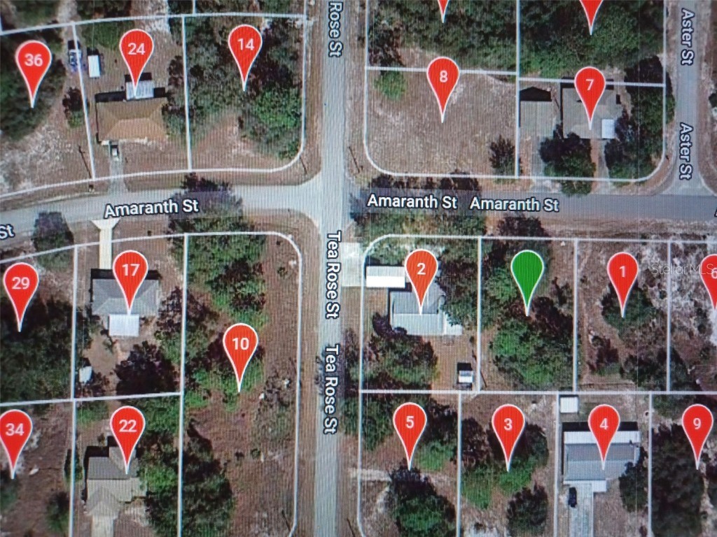 939 Amaranth Street Lake Placid FL 33852 O6209315 image1