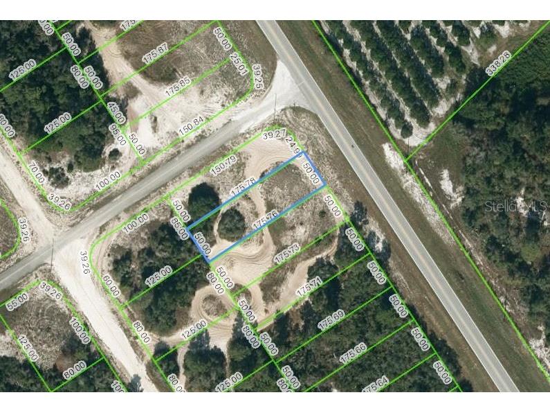 939 County Road 29 Lake Placid FL 33852 OM624599 image1