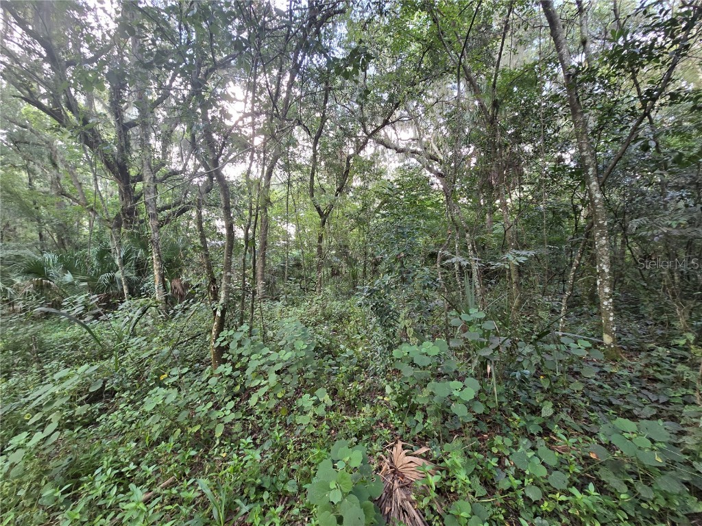 939 Estelle Avenue Brandon FL 33511 T3540821 image1