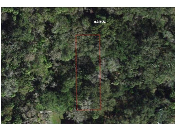 939 Estelle Avenue Brandon FL 33511 T3540821 image3