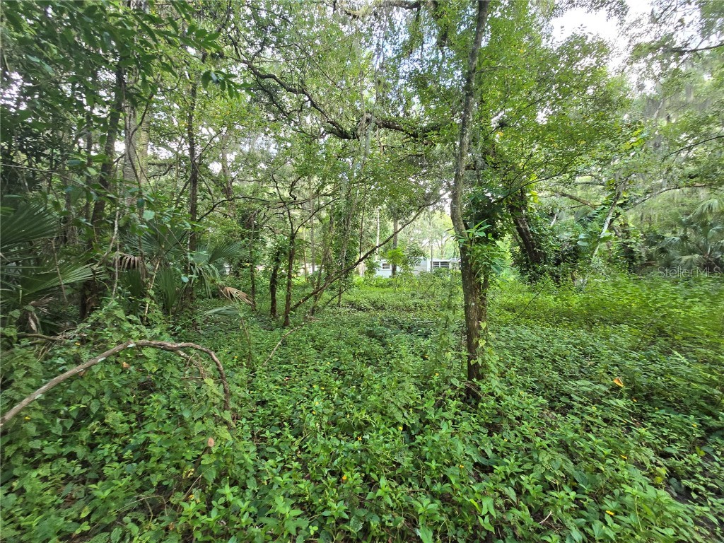 939 Estelle Avenue Brandon FL 33511 T3540821 image5