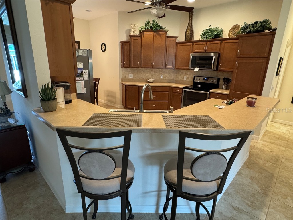 939 Koller Court The Villages FL 32163 O6350238 image4