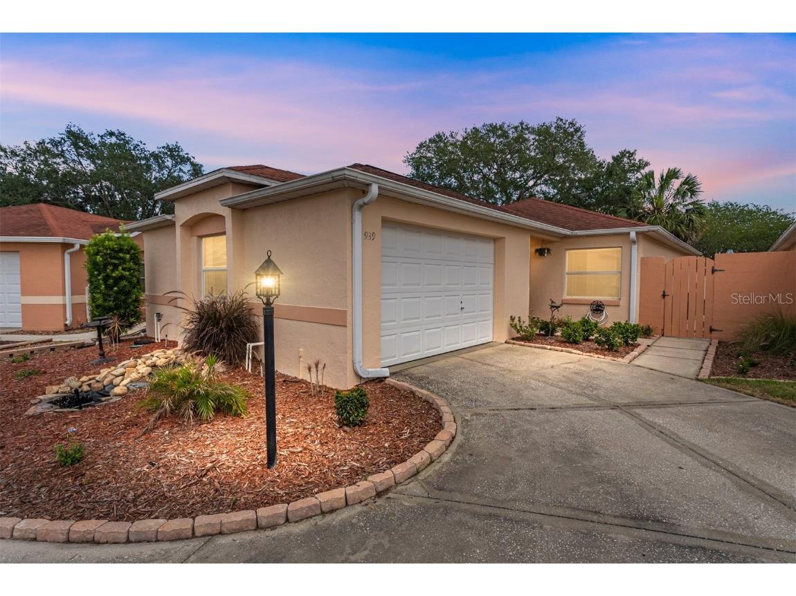 939 Mendoza Boulevard The Villages FL 32159 G5068955 image1