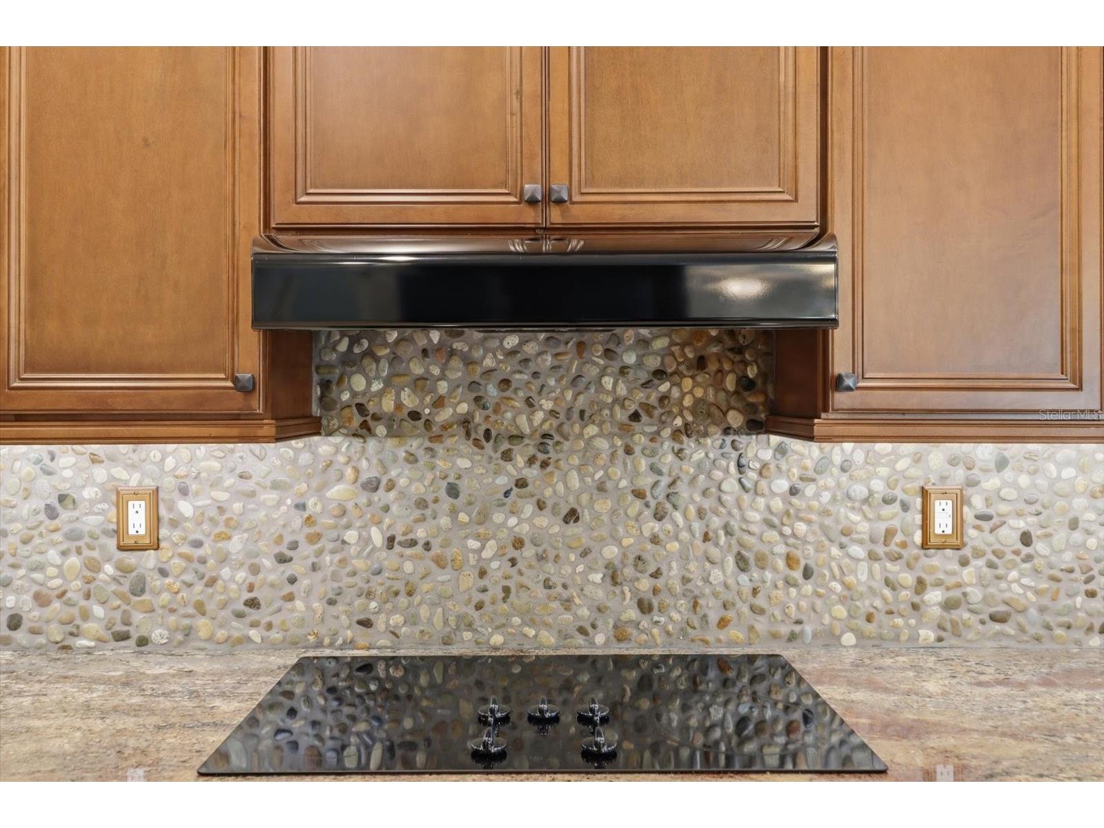 939 SE 3rd Avenue Crystal River FL 34429 - SPRING RUN CANAL TB8503796 image22