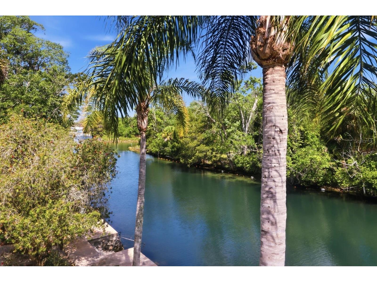 939 SE 3rd Avenue Crystal River FL 34429 - SPRING RUN CANAL TB8503796 image50