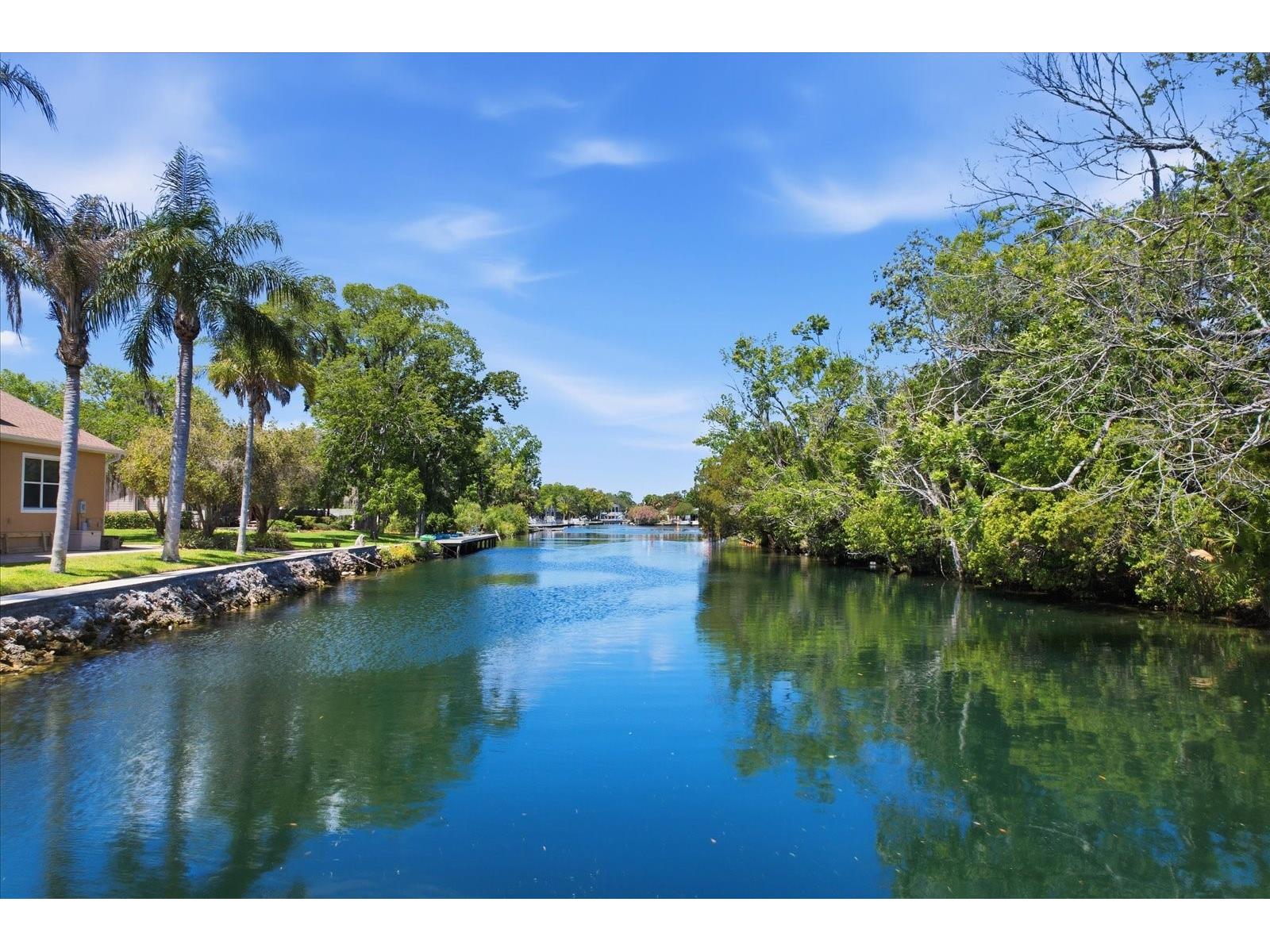 939 SE 3rd Avenue Crystal River FL 34429 - SPRING RUN CANAL TB8503796 image51