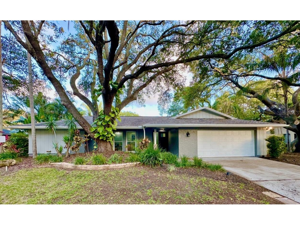 939 Woodland Drive Palm Harbor FL 34683 TB8394173 image1