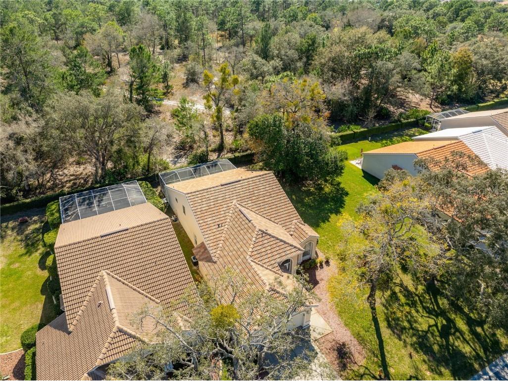 9390 Mississippi Run Weeki Wachee FL 34613 TB8449571 image48