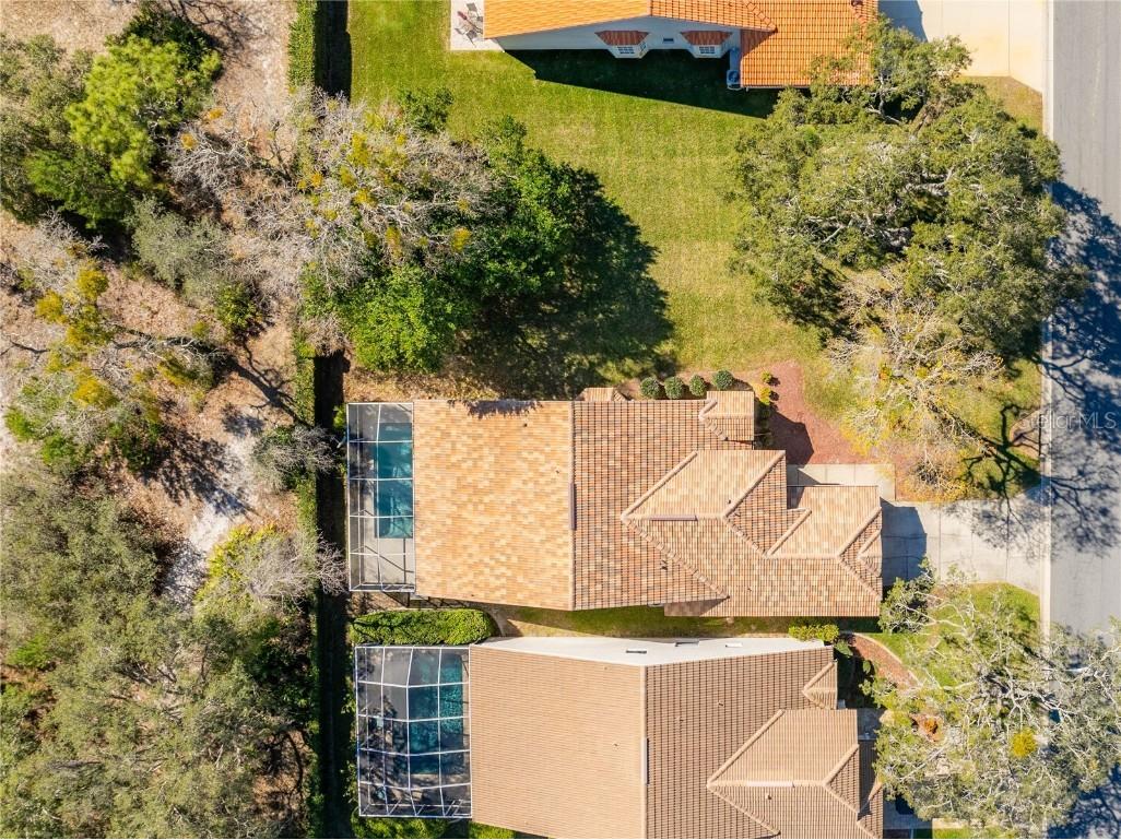 9390 Mississippi Run Weeki Wachee FL 34613 TB8449571 image49