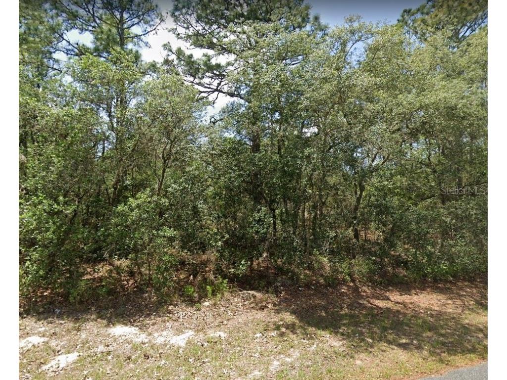 9390 N Cherry Lake Drive Citrus Springs FL 34433 G5070853 image1