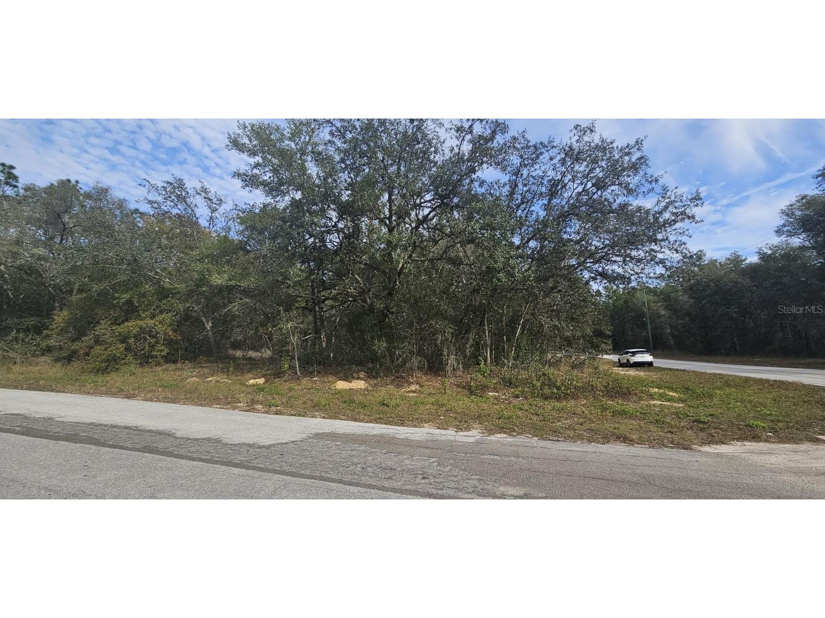 9391 N Sherman Drive Citrus Springs FL 34434 OM671521 image1