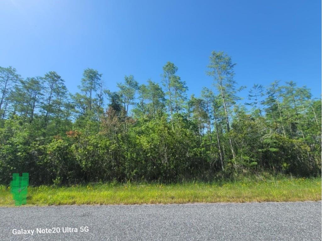 9395 Atlanta Drive Saint Cloud FL 34773 O6107738 image1