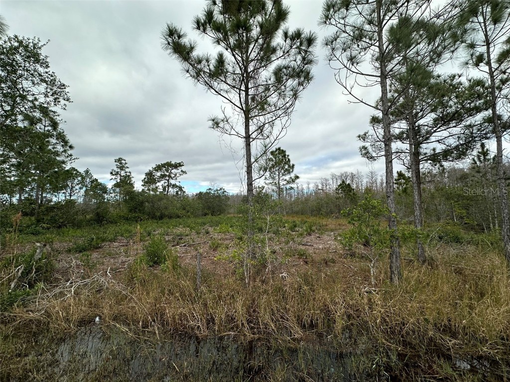 9395 Helena Drive Saint Cloud FL 34773 O6168238 image1