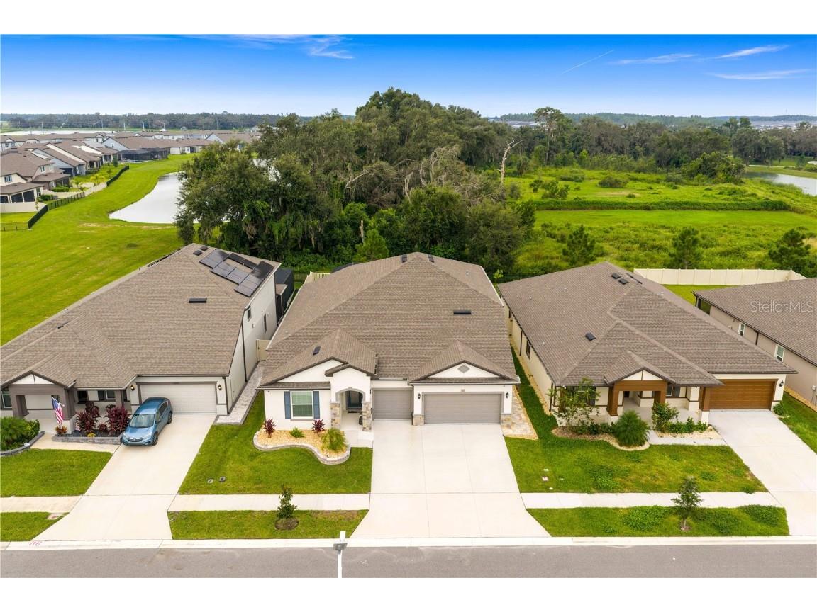 9397 Ibis Grove Boulevard Wesley Chapel FL 33545 TB8428011 image1