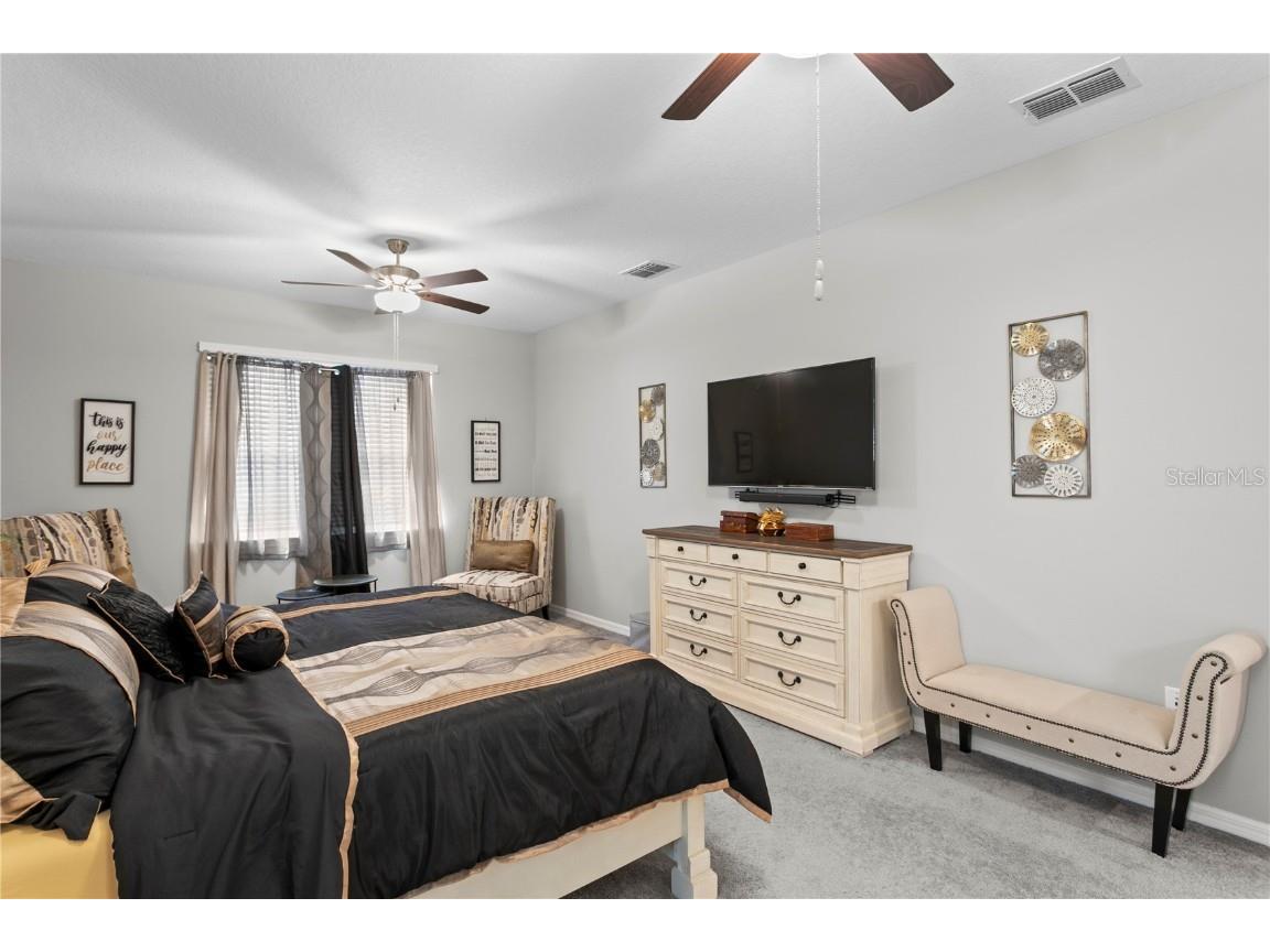 9397 Ibis Grove Boulevard Wesley Chapel FL 33545 TB8428011 image23