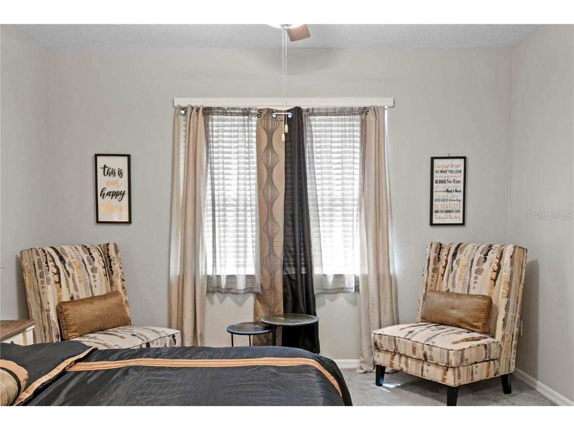 9397 Ibis Grove Boulevard Wesley Chapel FL 33545 TB8428011 image24