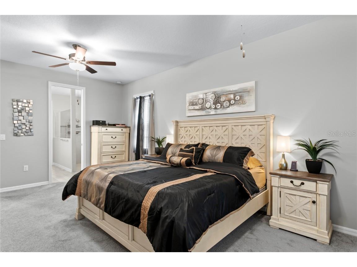 9397 Ibis Grove Boulevard Wesley Chapel FL 33545 TB8428011 image25