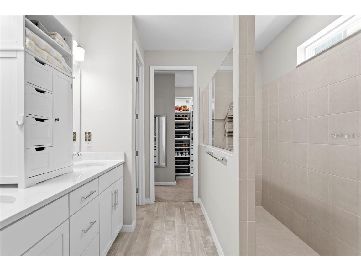 9397 Ibis Grove Boulevard Wesley Chapel FL 33545 TB8428011 image26