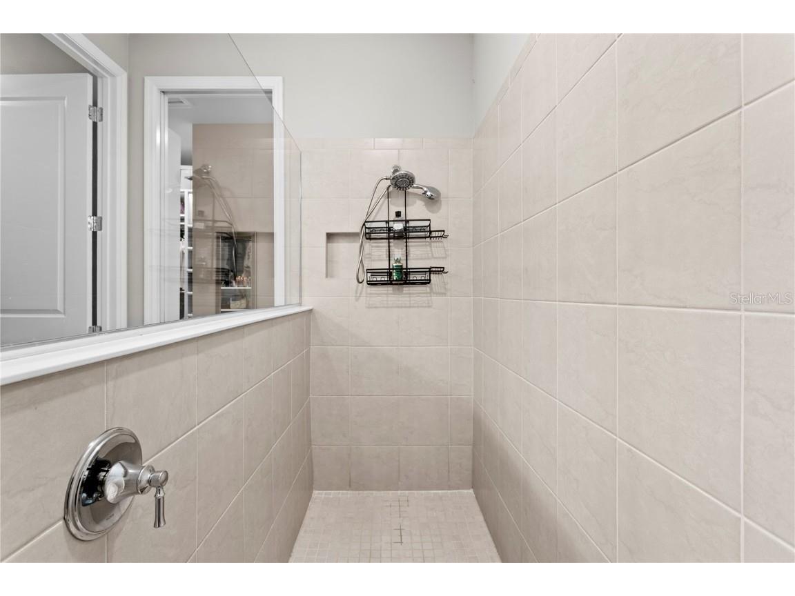 9397 Ibis Grove Boulevard Wesley Chapel FL 33545 TB8428011 image28