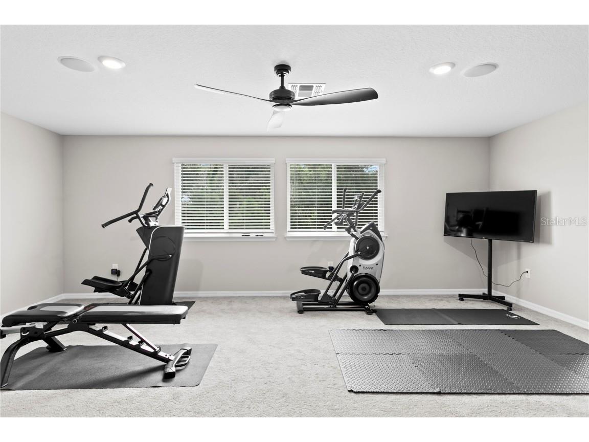 9397 Ibis Grove Boulevard Wesley Chapel FL 33545 TB8428011 image35