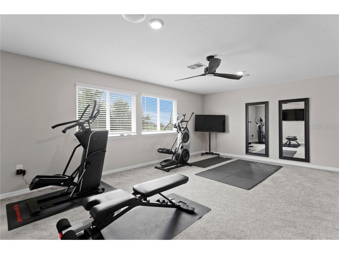 9397 Ibis Grove Boulevard Wesley Chapel FL 33545 TB8428011 image36