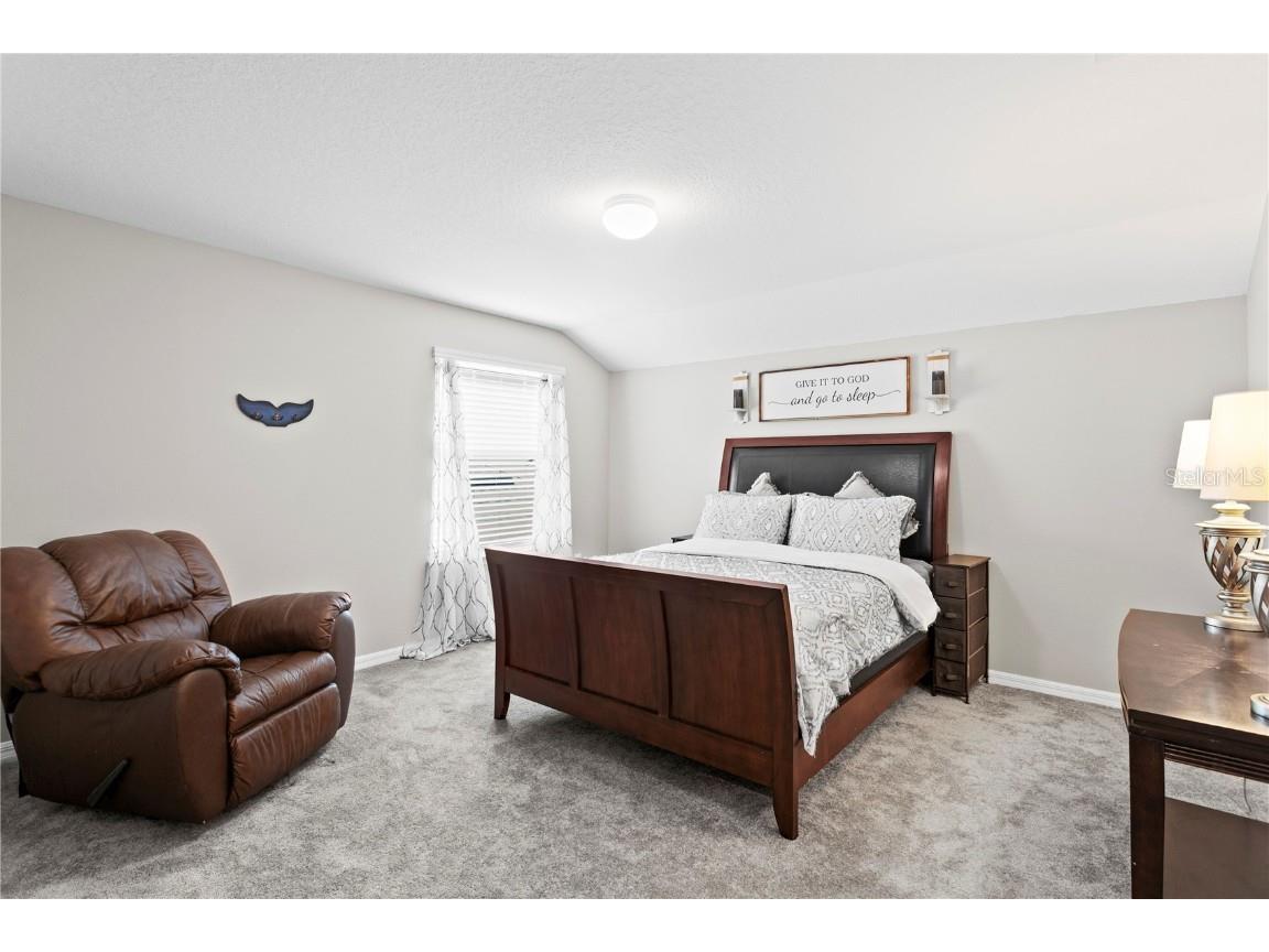 9397 Ibis Grove Boulevard Wesley Chapel FL 33545 TB8428011 image37