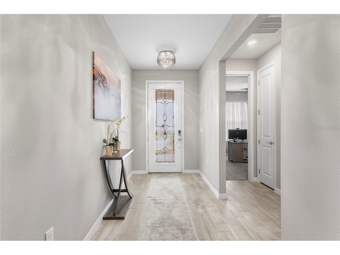 9397 Ibis Grove Boulevard Wesley Chapel FL 33545 TB8428011 image4