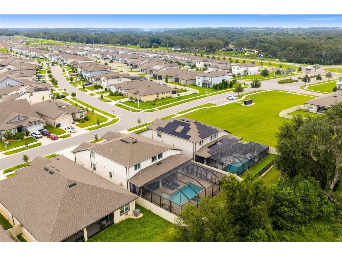 9397 Ibis Grove Boulevard Wesley Chapel FL 33545 TB8428011 image52