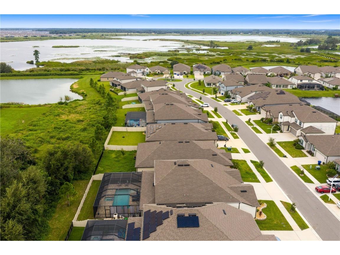 9397 Ibis Grove Boulevard Wesley Chapel FL 33545 TB8428011 image53