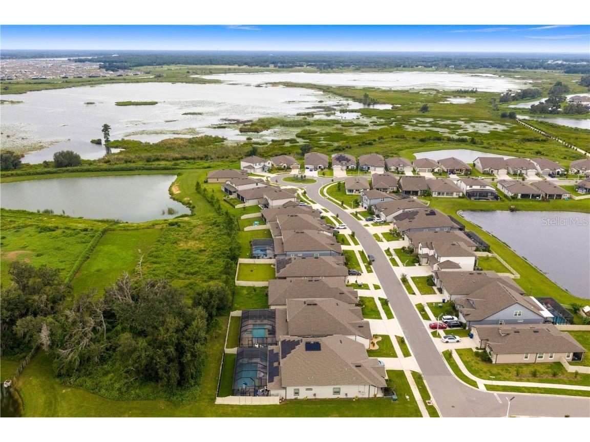 9397 Ibis Grove Boulevard Wesley Chapel FL 33545 TB8428011 image54