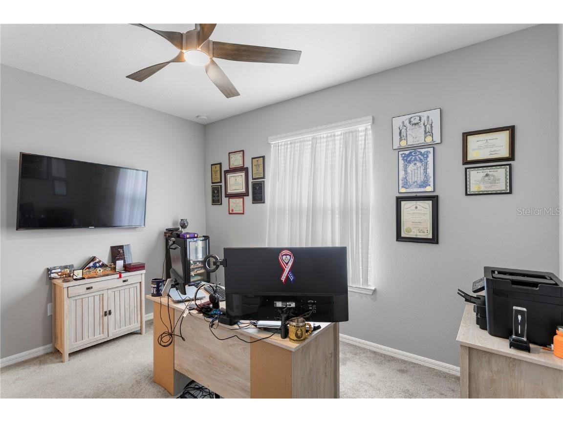 9397 Ibis Grove Boulevard Wesley Chapel FL 33545 TB8428011 image6