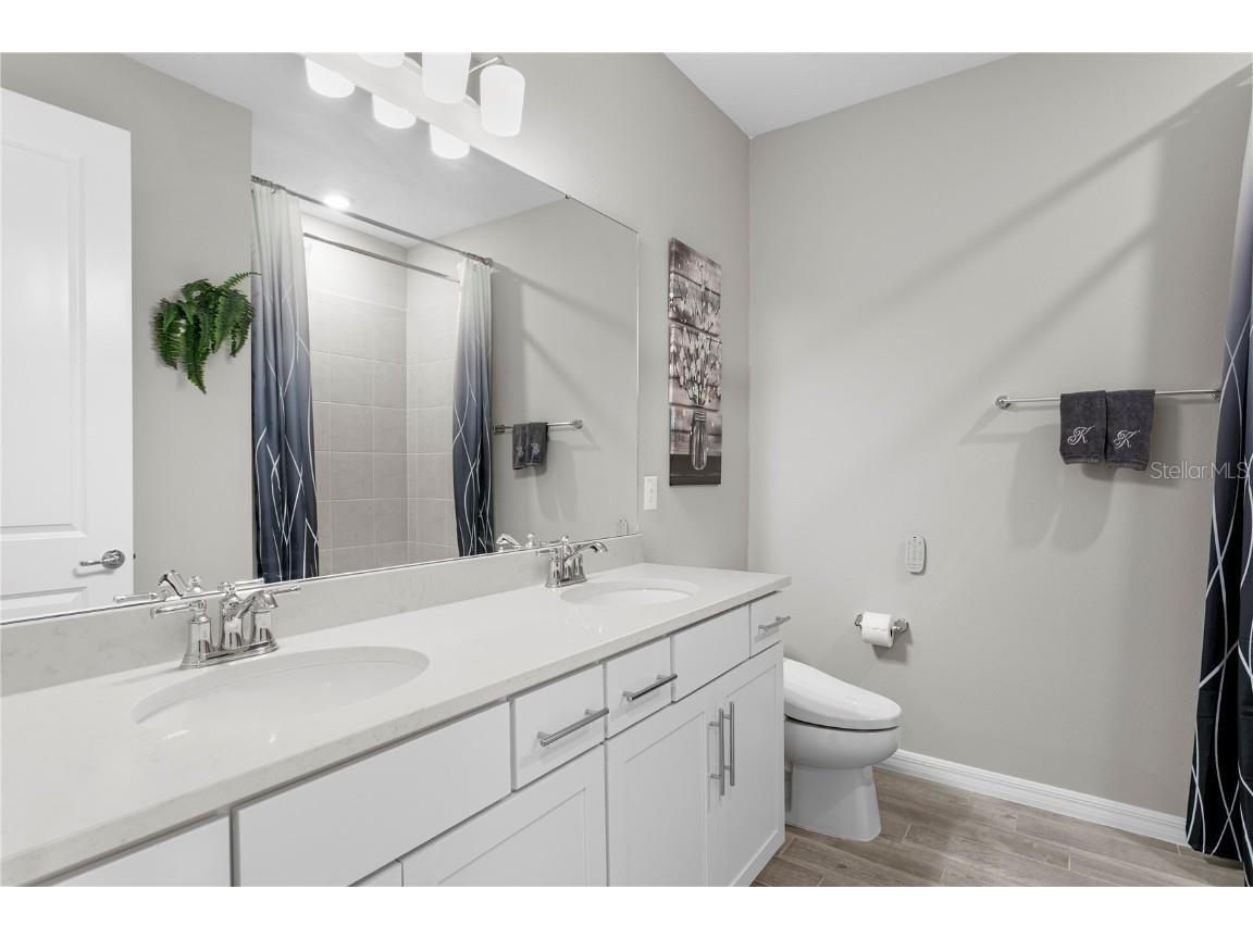 9397 Ibis Grove Boulevard Wesley Chapel FL 33545 TB8428011 image7