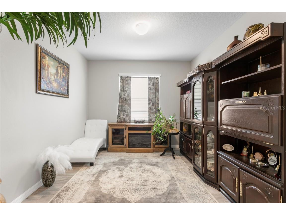 9397 Ibis Grove Boulevard Wesley Chapel FL 33545 TB8428011 image8