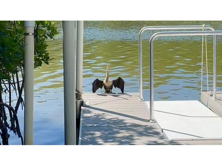 9397 Midnight Pass Road #P3 Sarasota FL 34242 - THE GULF ICW BAY LAGOON A4663097 image40