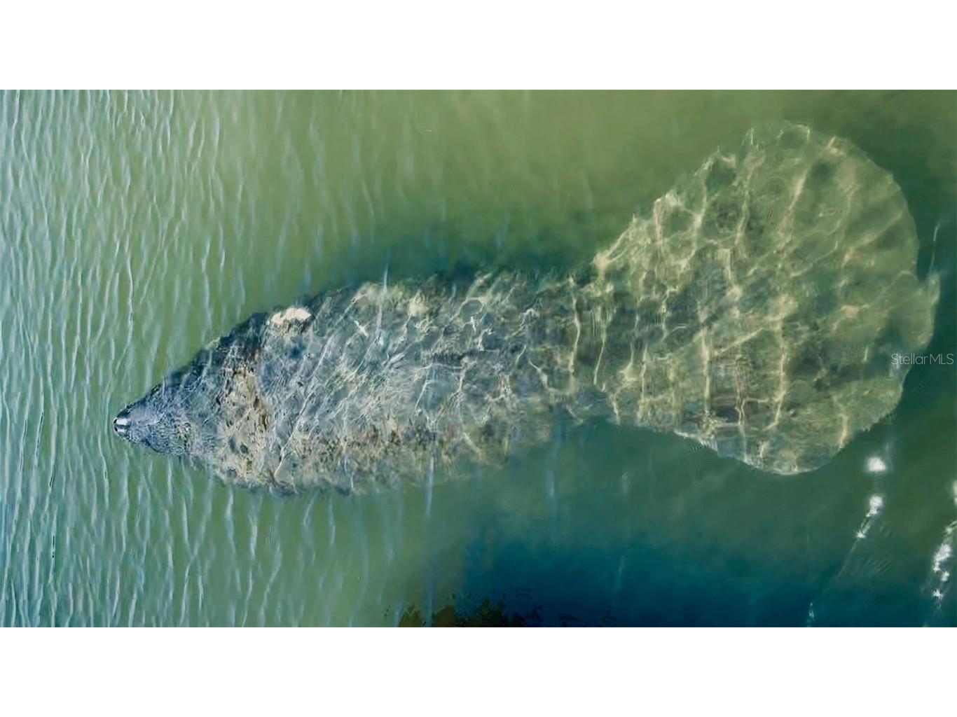 9397 Midnight Pass Road #P3 Sarasota FL 34242 - THE GULF ICW BAY LAGOON A4663097 image56