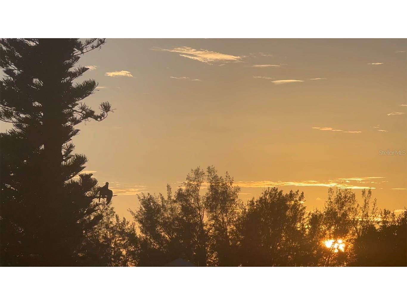 9397 Midnight Pass Road #P3 Sarasota FL 34242 - THE GULF ICW BAY LAGOON A4663097 image59