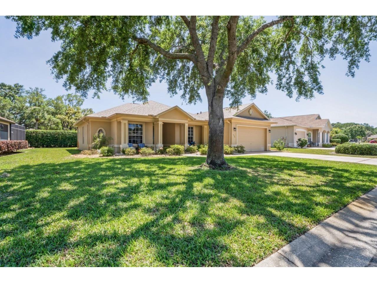 9398 Burnam Drive Weeki Wachee FL 34613 W7881784 image5