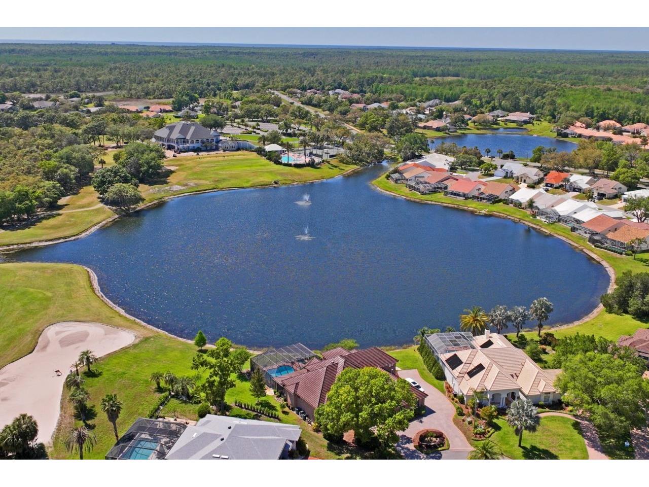 9398 Burnam Drive Weeki Wachee FL 34613 W7881784 image71