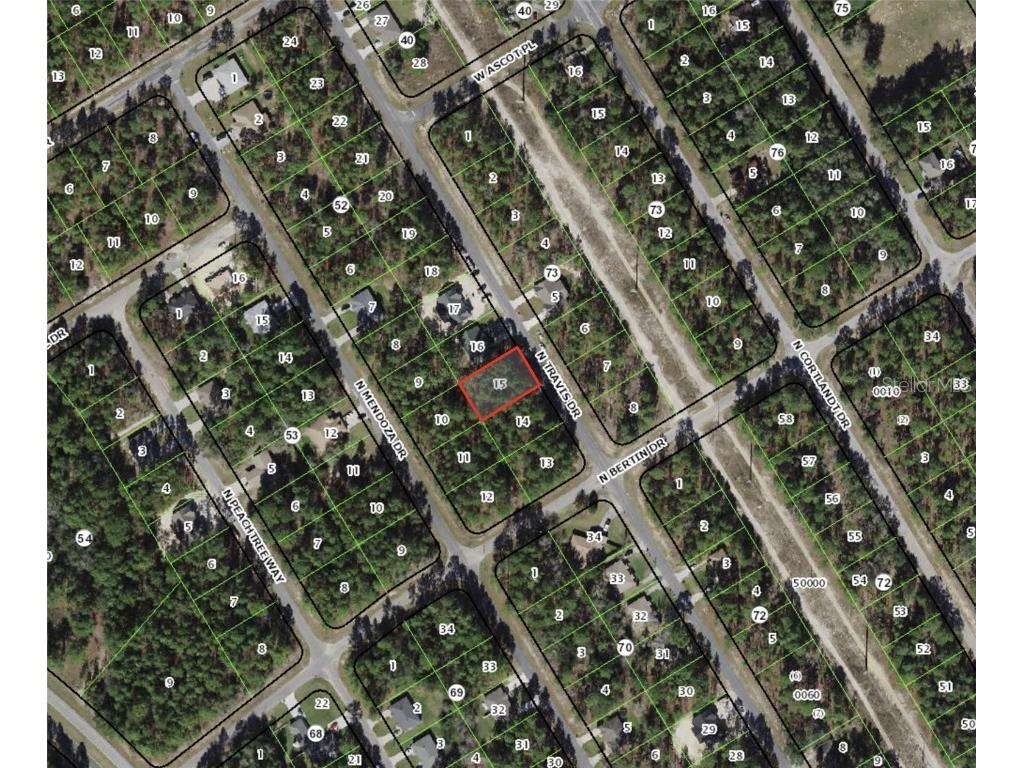 9398 N Travis Drive Citrus Springs FL 34434 G5051008 image1