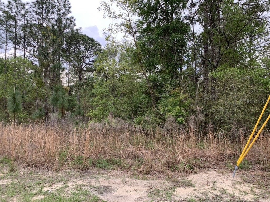 9399 N Del Rio Way Citrus Springs FL 34434 OM636436 image1