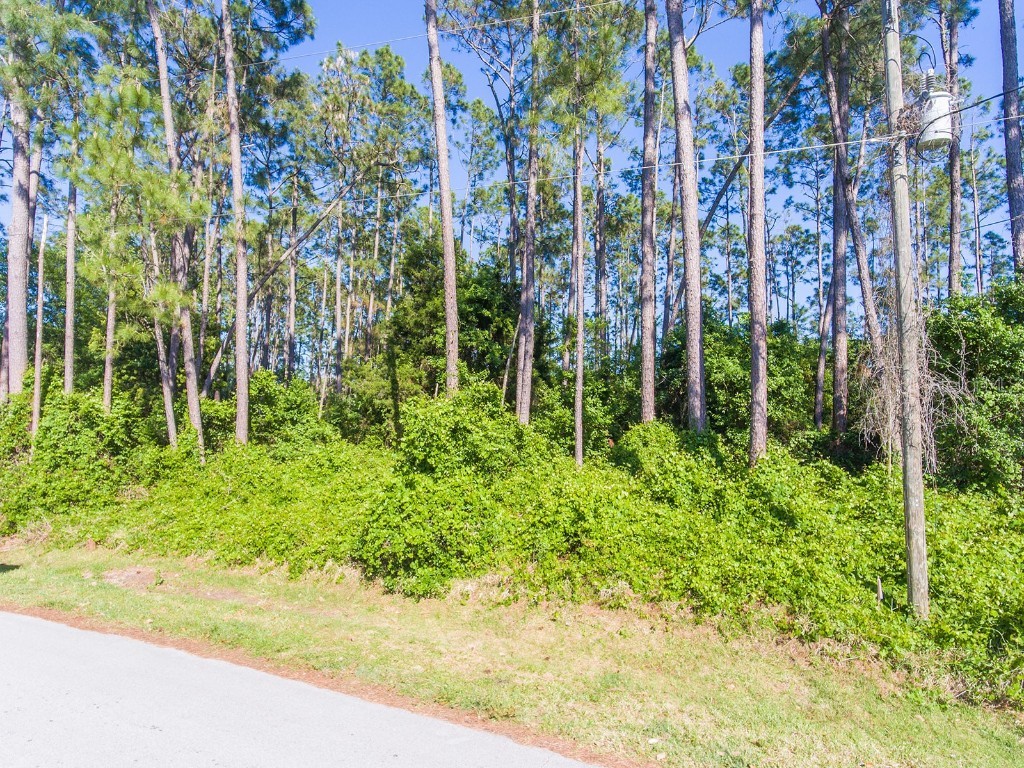 94 Brushwood Lane Palm Coast FL 32137 FC290391 image1