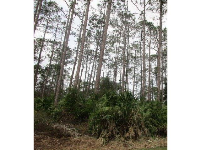 94 Luther Drive Palm Coast FL 32137 FC303335 image2