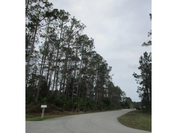 94 Luther Drive Palm Coast FL 32137 FC303335 image4