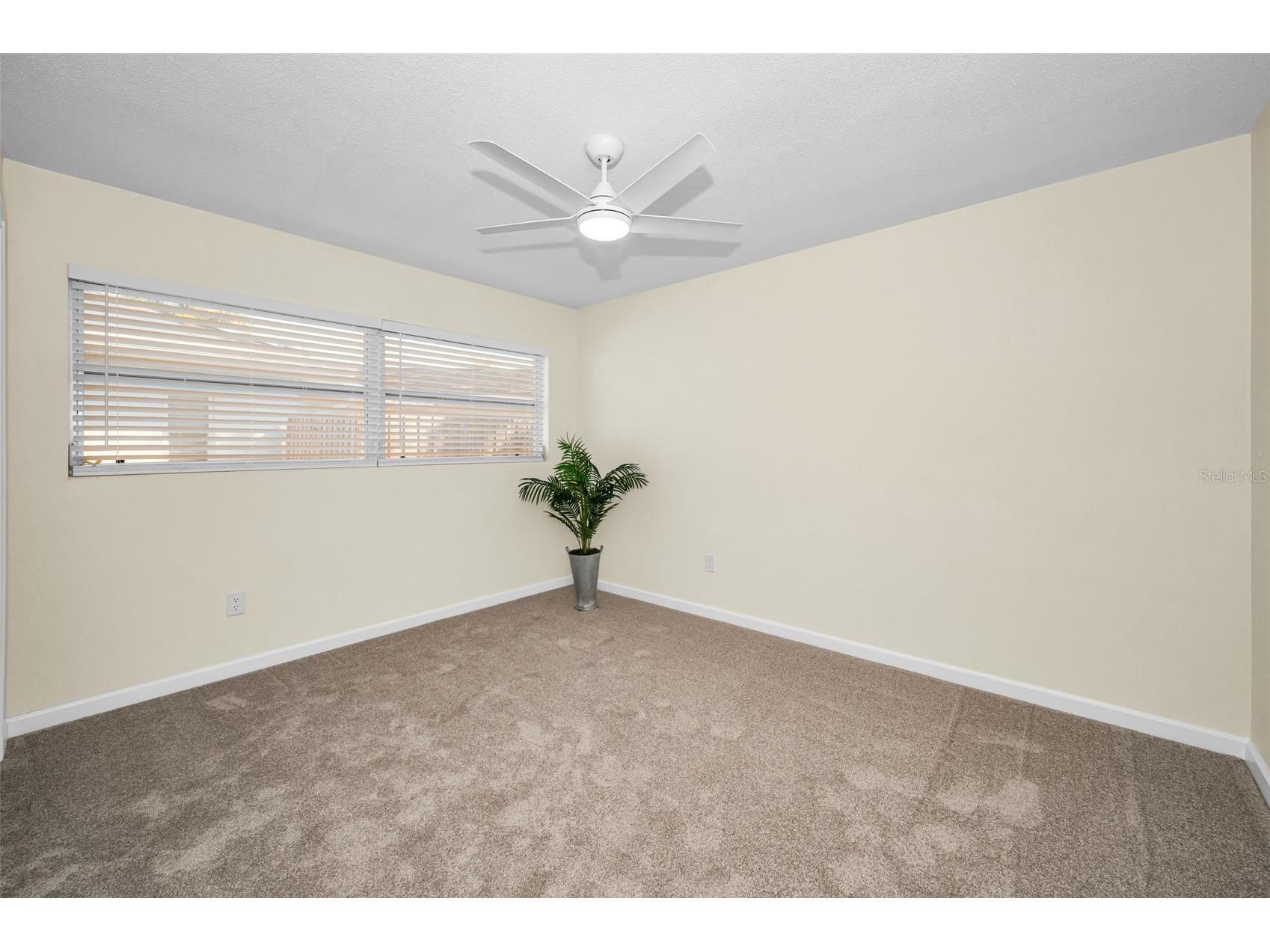 94 Nicholas Drive Dunedin FL 34698 TB8502037 image27