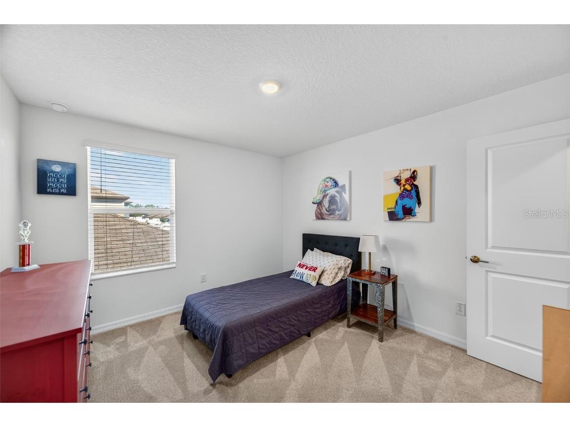 94 Rose Bud Lane Spring Hill FL 34609 TB8439761 image31