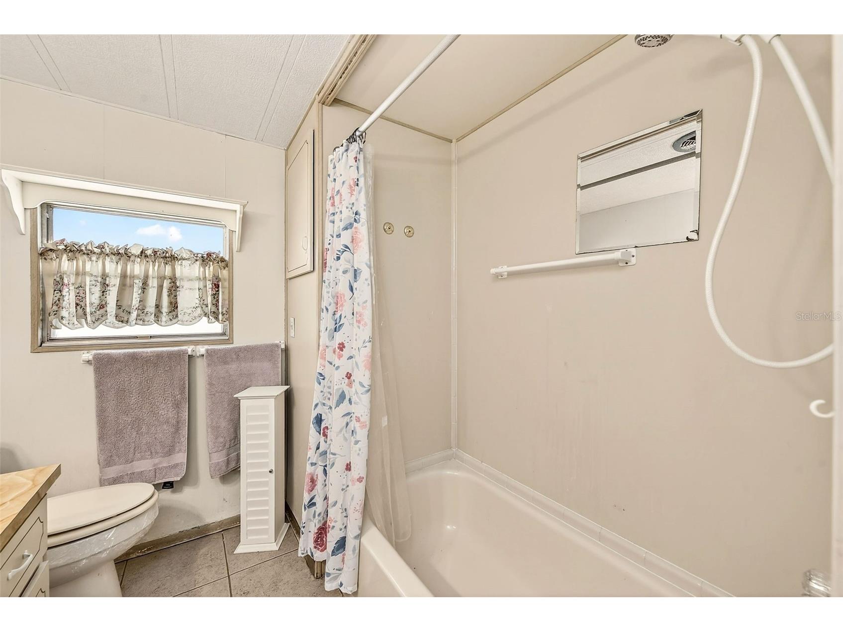 94 Sugar Bear Drive #55 Safety Harbor FL 34695 TB8498889 image28