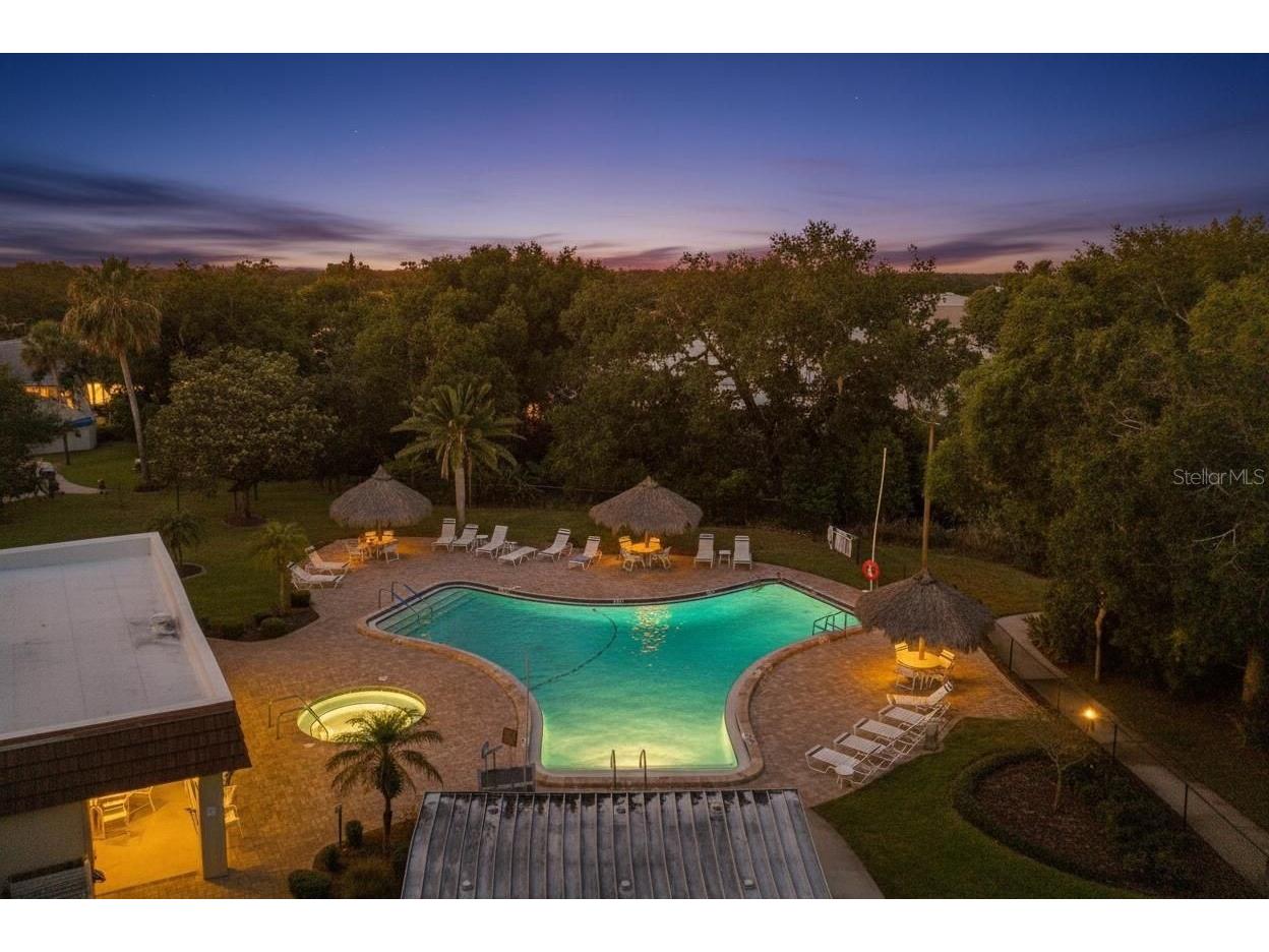 94 Sugar Bear Drive #55 Safety Harbor FL 34695 TB8498889 image42