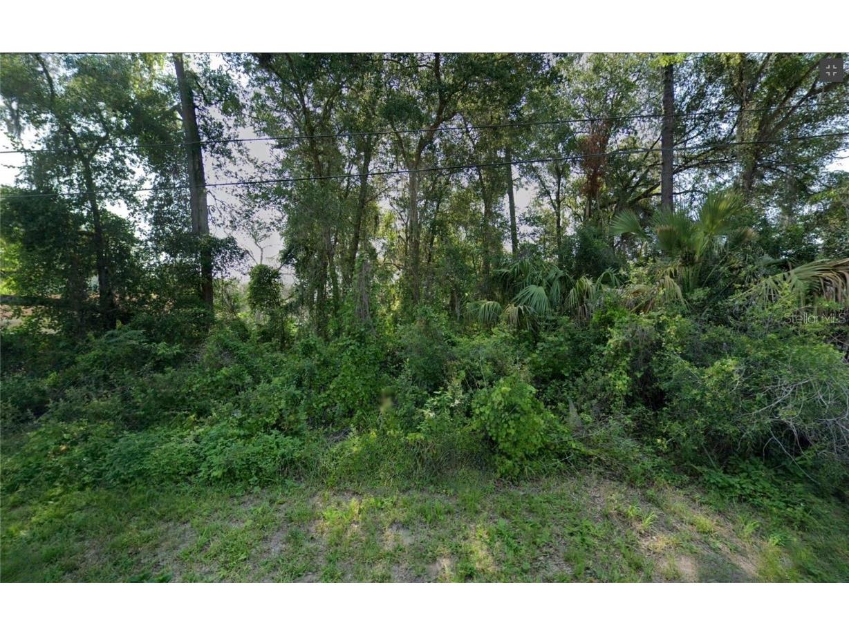 940 Cedar Avenue Inverness FL 34452 TB8461444 image3