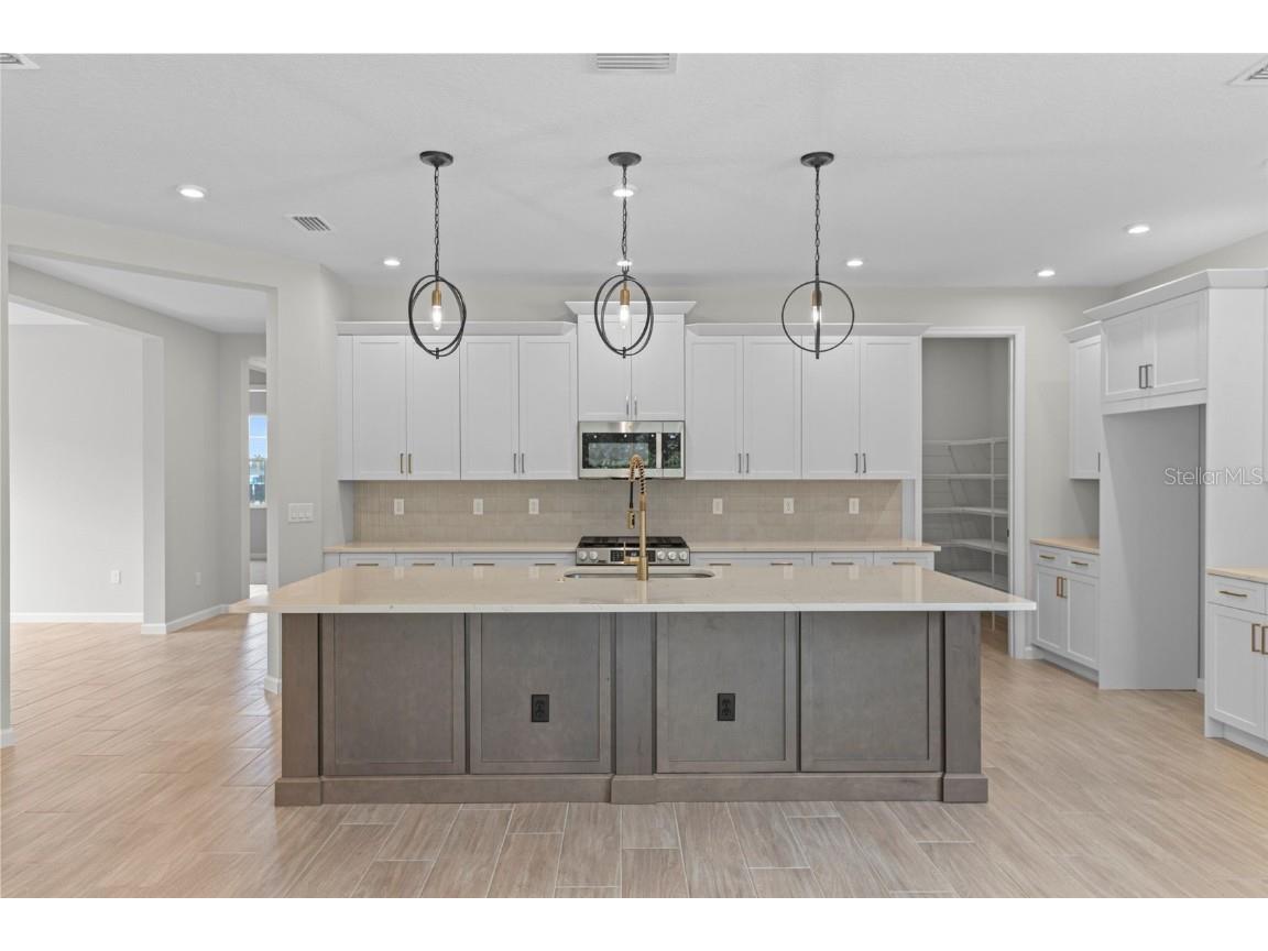 940 Club Cresswind Drive Lady Lake FL 32159 W7881313 image15