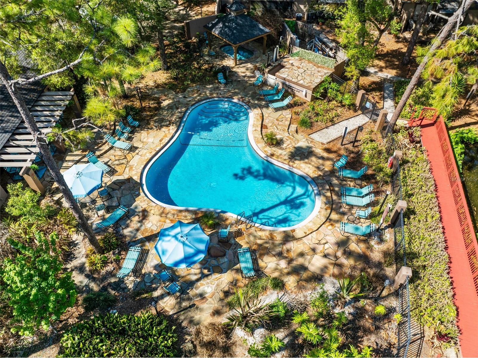 940 Douglas Ave # 201 Altamonte Springs FL 32714 O6394178 image32